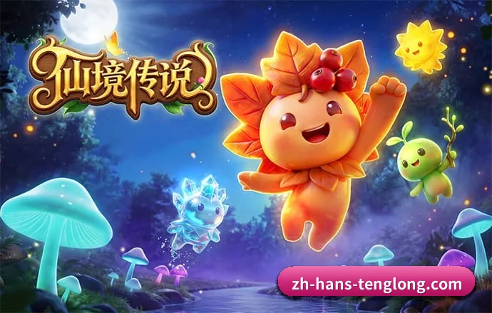腾龙娱乐 APP
